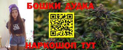 дмт Аргун