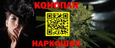 дмт Аргун
