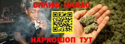 дмт Аргун