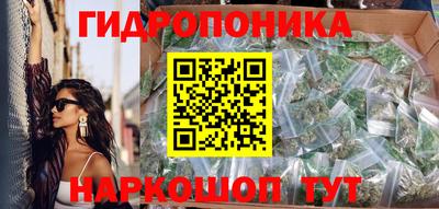 дмт Аргун