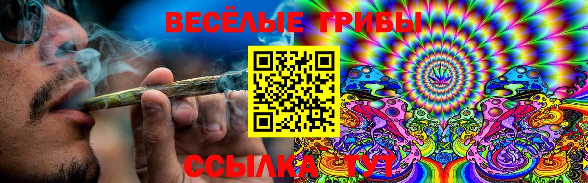 Галлюциногенные грибы GOLDEN TEACHER Аргун